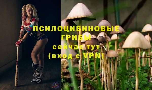 хмурый Лихославль