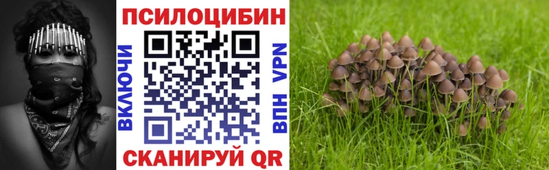 Галлюциногенные грибы GOLDEN TEACHER  магазин  наркотиков  Струнино 